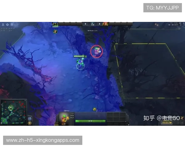 职业选手的视野博弈：他是如何通过虚假视野诱导对手做出误判的